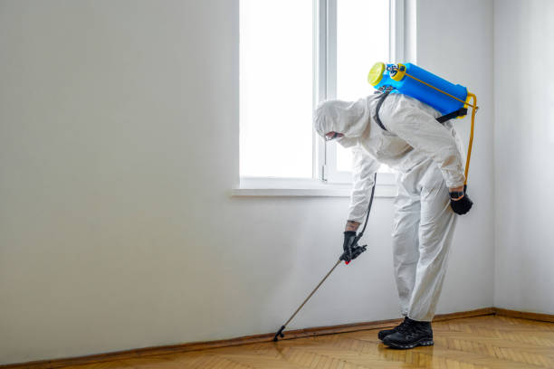 Best Termite Control Services  in Mobridge, SD