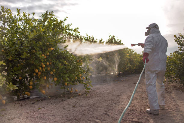 Best Best Pest Control Companies  in Mobridge, SD