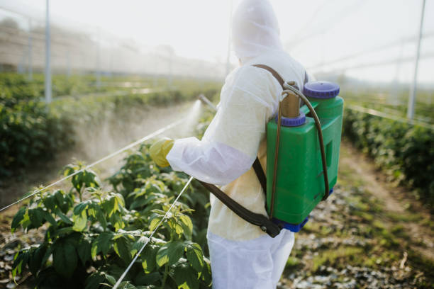 Professional Pest Control in Mobridge, SD
